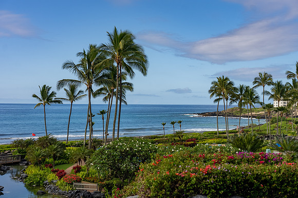 177-TriNet-Kauai-2025-100719