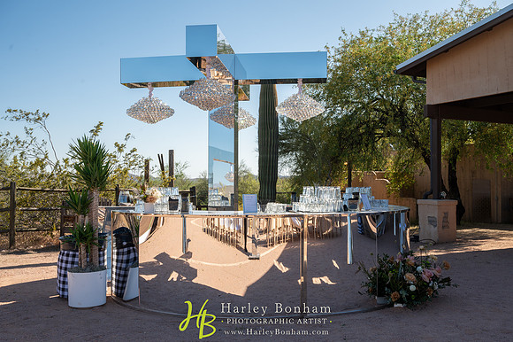 6-www.HarleyBonham.com-7003