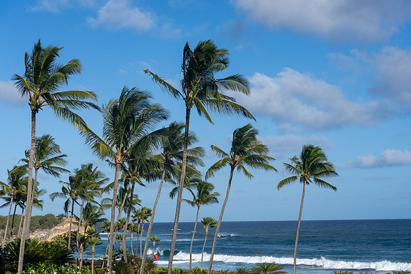 1012-TriNet-Kauai-2025-102103
