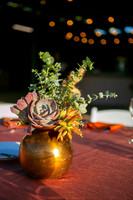 010DecorArabiansIMG_7555