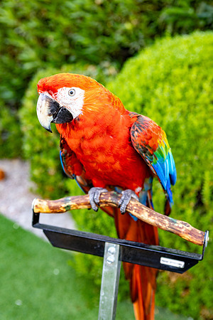 16-Decor-May20-0223