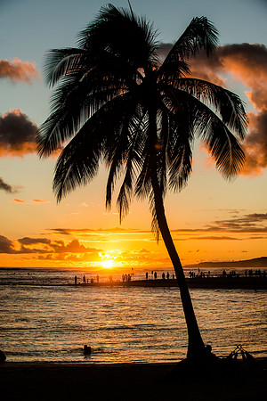 -245Kauai0222