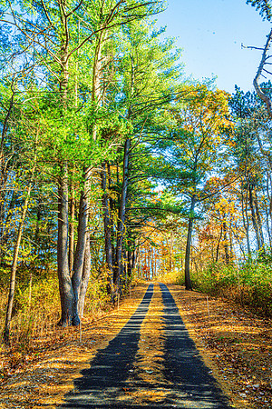 036-FallColors-74200243