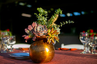 012DecorArabiansIMG_7559