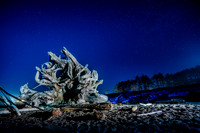 Driftwood, painting with light, La Push, WA