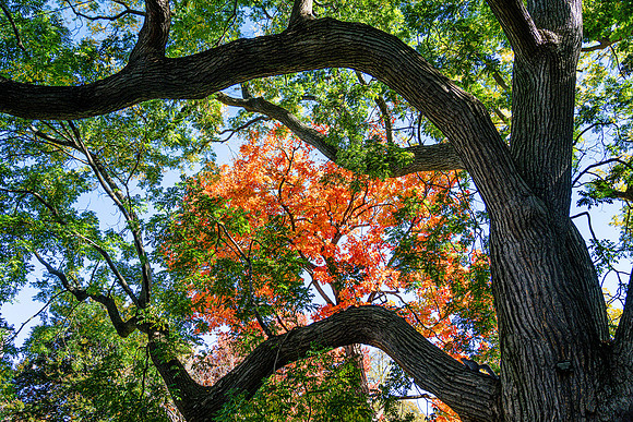 012-FallColors-74208072