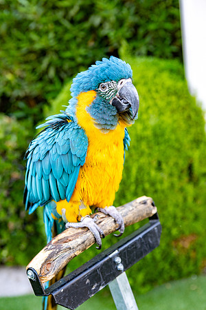 17-Decor-May20-0224