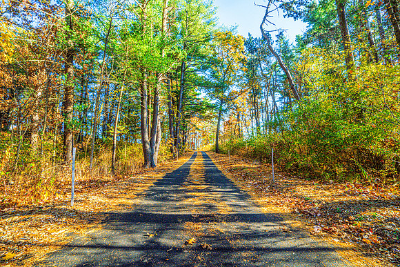 038-FallColors-74200246