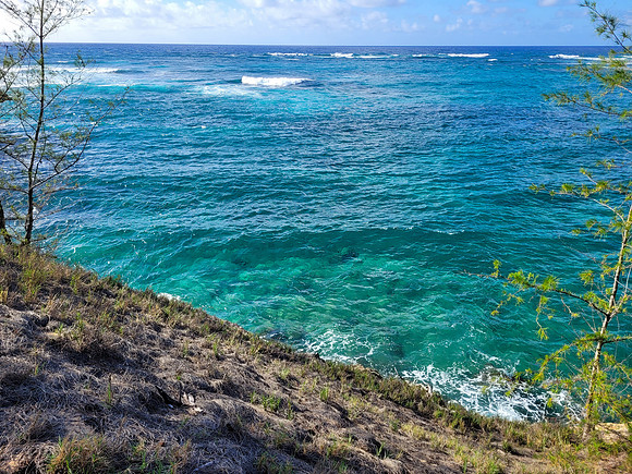 746-TriNet-Kauai-2025-082540