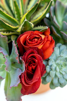 9-Montelucia-decor-Oct22-2480