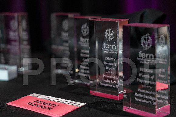566-FEM-74202817