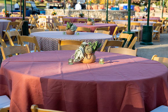16-PhoenicianDecor-Jan30-0823