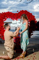 003-engaged-74207899