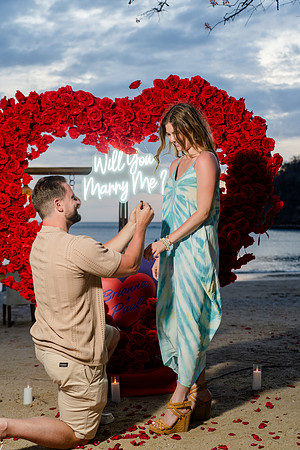 003-engaged-74207899