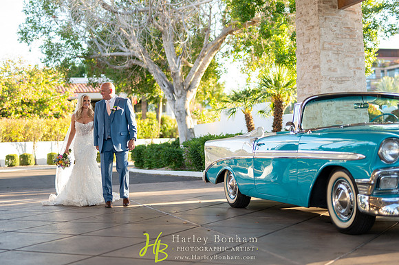 65-www.harleybonham.com-3134