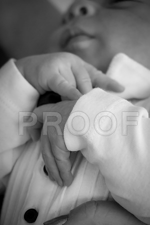-089Nolan8656