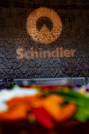 8-Schindler-5569