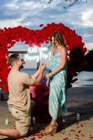 004-engaged-74207901