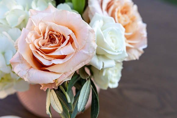 1-Tricor-decor-7246