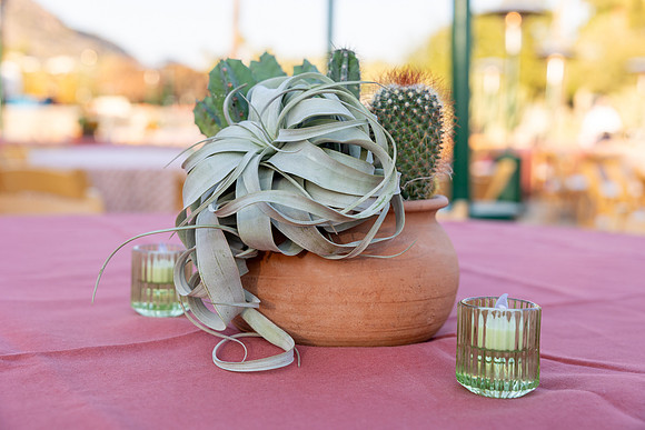1-PhoenicianDecor-Jan30-0802