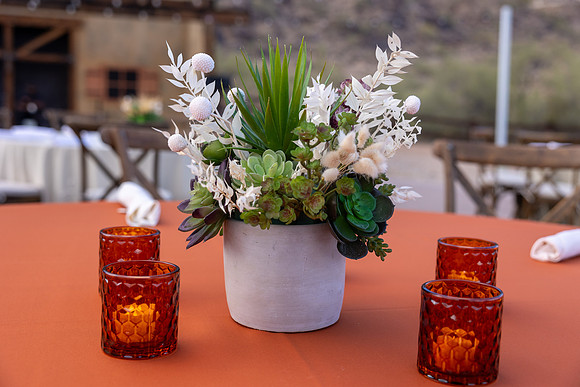 22-PRA-Principal Decor-6573