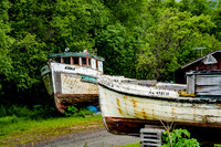 026-Alaska-7209311