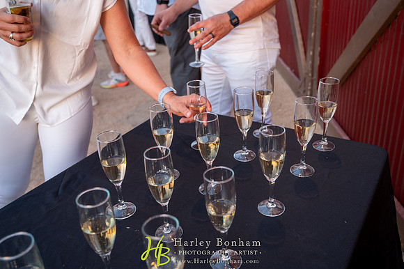 61-www.harleybonham.com-3070