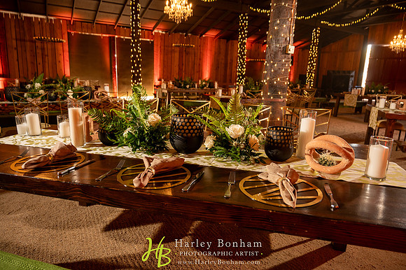 10-www.harleybonham.com-2732