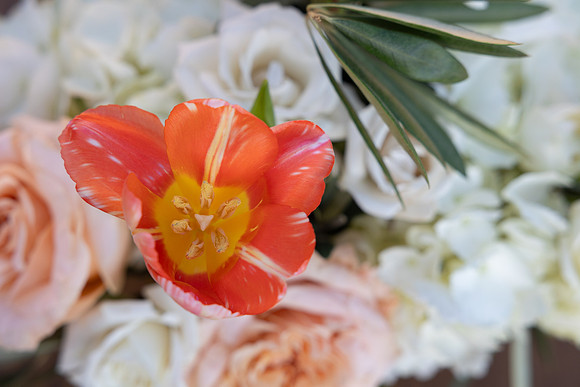 4-Tricor-decor-7251