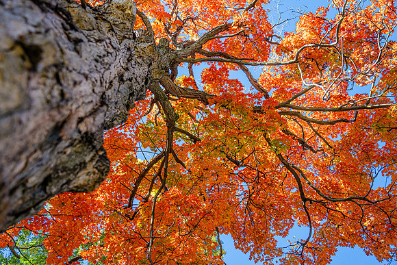 009-FallColors-74208040