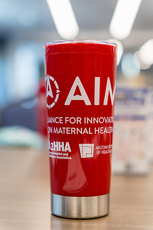3-AIM2024-03335