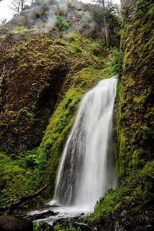 003-Oregon-74202775