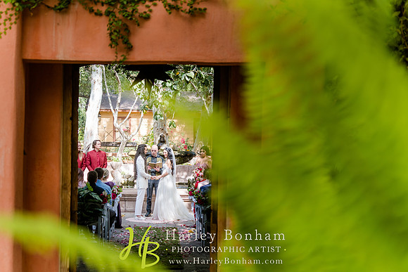 082-harleybonham.com-74206303