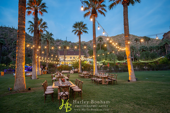 23-www.HarleyBonham.com-