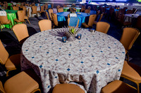 003-Intelsat decor-5293