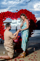 005-engaged-74207903