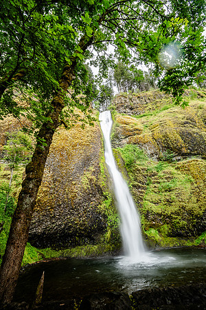 011-Oregon-74202847