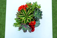 11-Montelucia-decor-Oct22-2482