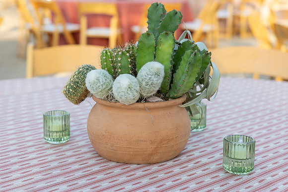18-PhoenicianDecor-Jan30-0826