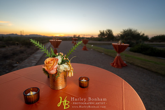 33-www.HarleyBonham.com-74205790
