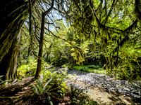 Olympic National Park