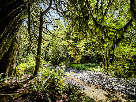 Olympic National Park