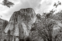 334-california2017-6301322