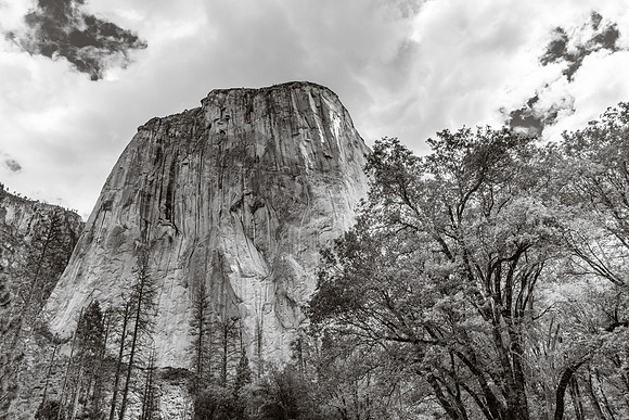 334-california2017-6301322