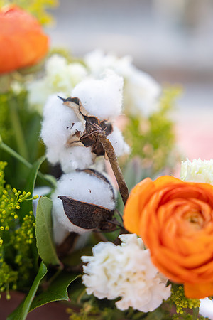 10-PhoenicianDecor-Jan30-0813