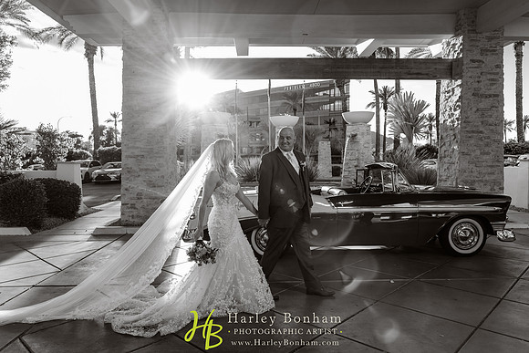 67-www.harleybonham.com-0644