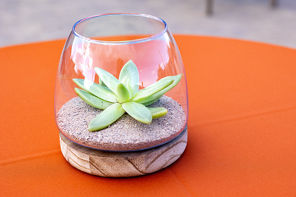7-PRA-Principal Decor-6558