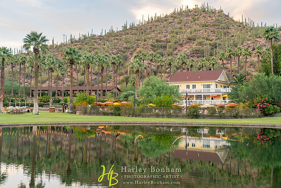 20-www.HarleyBonham.com-74204513