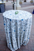 011-Intelsat decor-5301