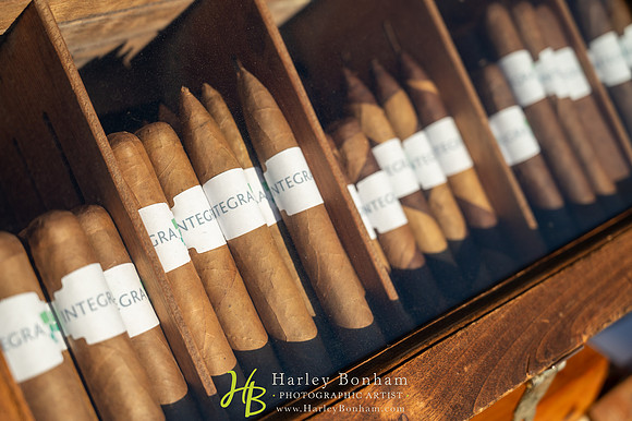 50-www.harleybonham.com-2835